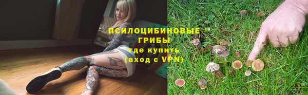 стафф Армянск