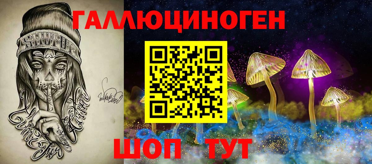 Псилоцибиновые грибы Psilocybe Протвино