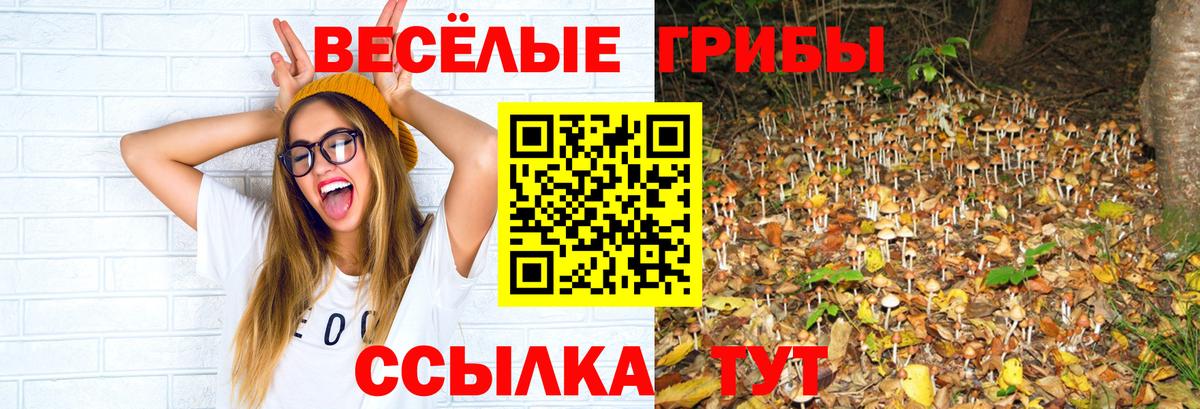 Галлюциногенные грибы MAGIC MUSHROOMS  Псилоцибиновые грибы GOLDEN TEACHER  купить   Протвино  Вход с VPN 